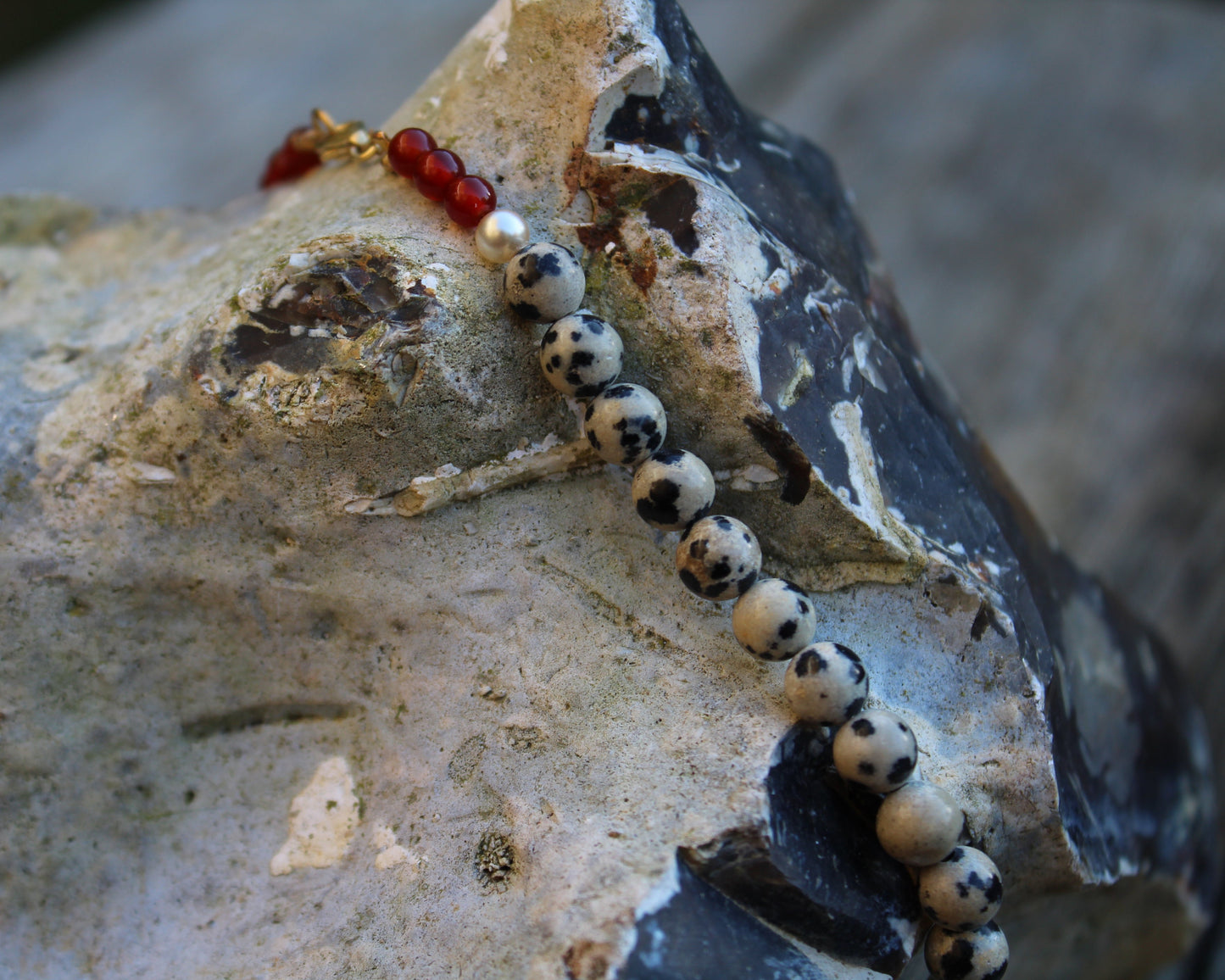 Dalmatian Jasper & Carnelian beads